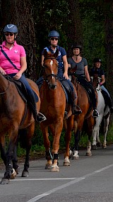 Barchemse Paarden4daagse 2019 (geüpload door Maarten)