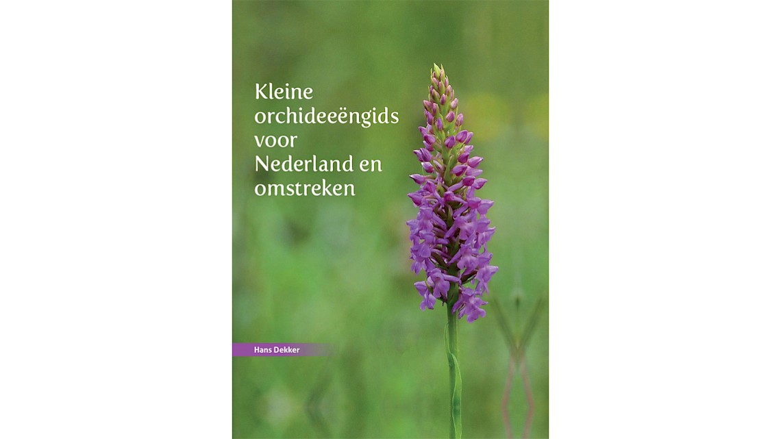 Nieuwe orchideeëngids voor Nederland en omstreken