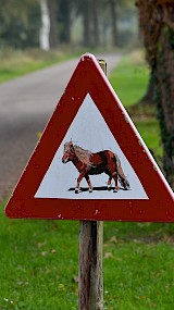 Pas op overstekende Pony,s ! (geüpload door Jan Peppelman)