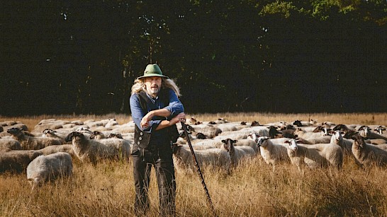 Roelof met schapen