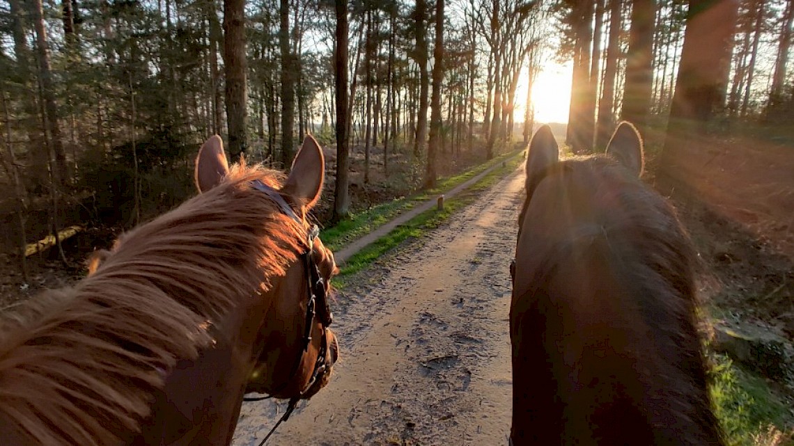 Paardrijroute in Hengelo (G) e.o.