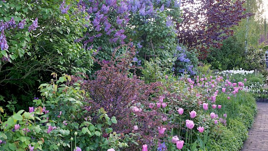 De Tuinerie adviseert over een tuin met veel afwisseling die vroeg in bloei staat.